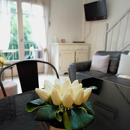 Superbe Appartement A Collioure Face A La Mer 아파트